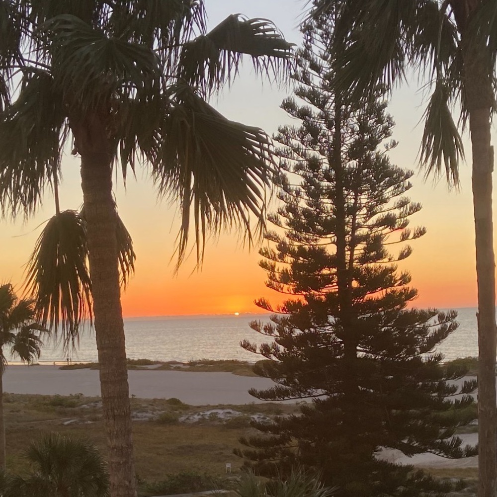 Meet your Posher, Rhae